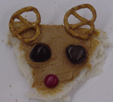 reindeersnack